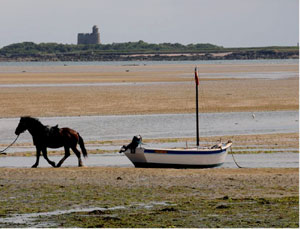 plage ,gîte  normand le courlis   à Montfarville Normandie